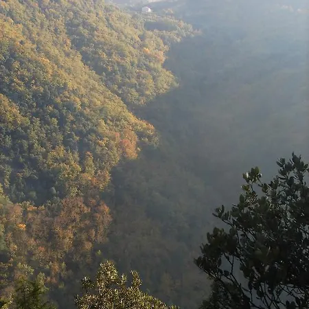 Du Puy